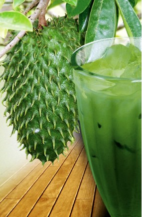 Extrato de Soja Sabor Graviola