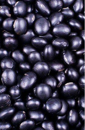 Soja Preta em grãos