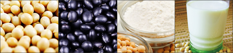 Os Befefícios da Soja Os Befefícios da Soja